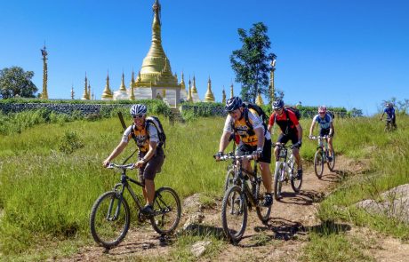 Art of Travel - Bike Adventure Tours